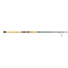 Shimano TERAMAR XX SE SPINNING, Saltwater, In...