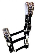 Showman Nylon Bronc Halter w/ Padded Snake Print Crown  Noseband