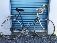 Nishiki Sport Road Bike- Vintage 700c- 63cm Cromoly Frame-12 Speed