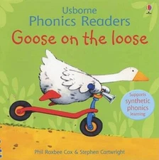 Goose on The Loose (Usborne Phonics Readers) - Paperback - VERY GOOD