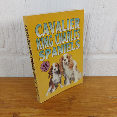 Cavalier King Charles Spaniels   Beverley Cuddy