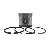 Kolben + Kolbenring-Satz (0,50 Mm-üBergrößE-88,50 Mm): Kompatibel Mit Yanmar / 3