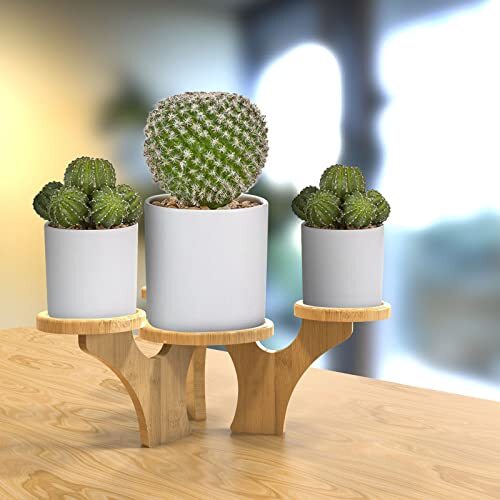 indoor small plant stand