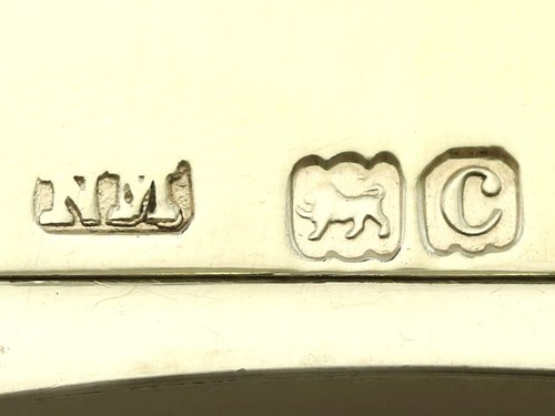 Antique Sterling Silver Gilt and Celluloid Gent's Travelling Vanity Set (1899) - Picture 17 of 24