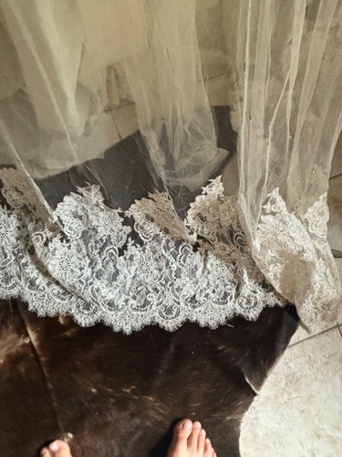 Augusta Jones D37CPZMS Wedding Dress 10 Cream Lace Sexy Romantic NWT $2,750 - Picture 4 of 19