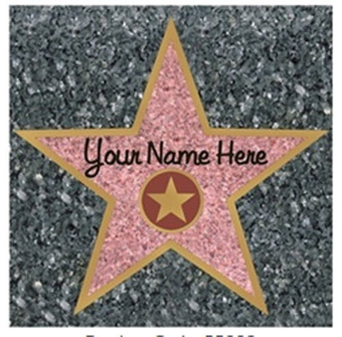 HOLLYWOOD WALK OF FAME STAR wall sticker 1 big decal YOU ADD ANY NAME sidewalk - Picture 1 of 1