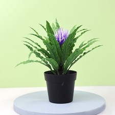 Vaso bonsai verde ornamento casa giardino decorazione piccolo albero erba fiori finti