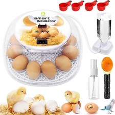Incubators Hatching Eggs 12-24 Egg W/ Automatic Egg Turning Humidity Control New