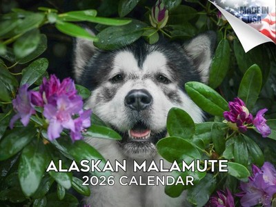 Alaskan Malamute Dog Breed Calendar 2026 12x18 Made in USA