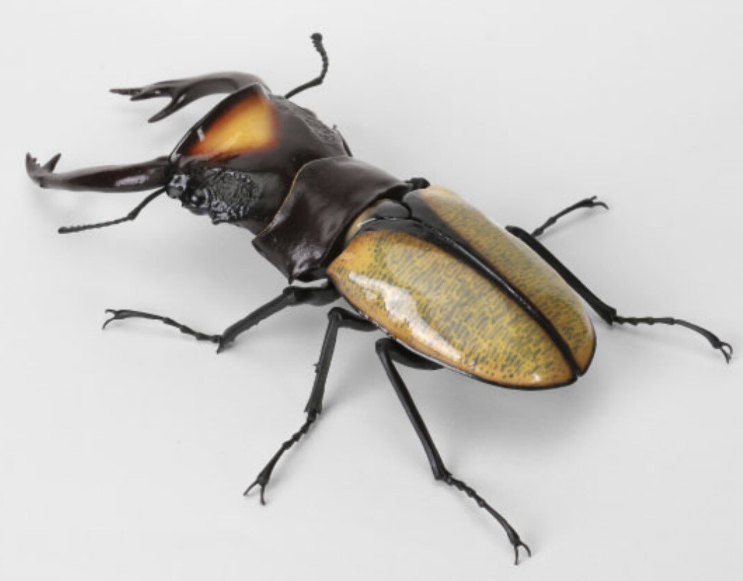 Bandai Namco Dangomushi 9 Lacordaire's Stag Beetle Figure | eBay