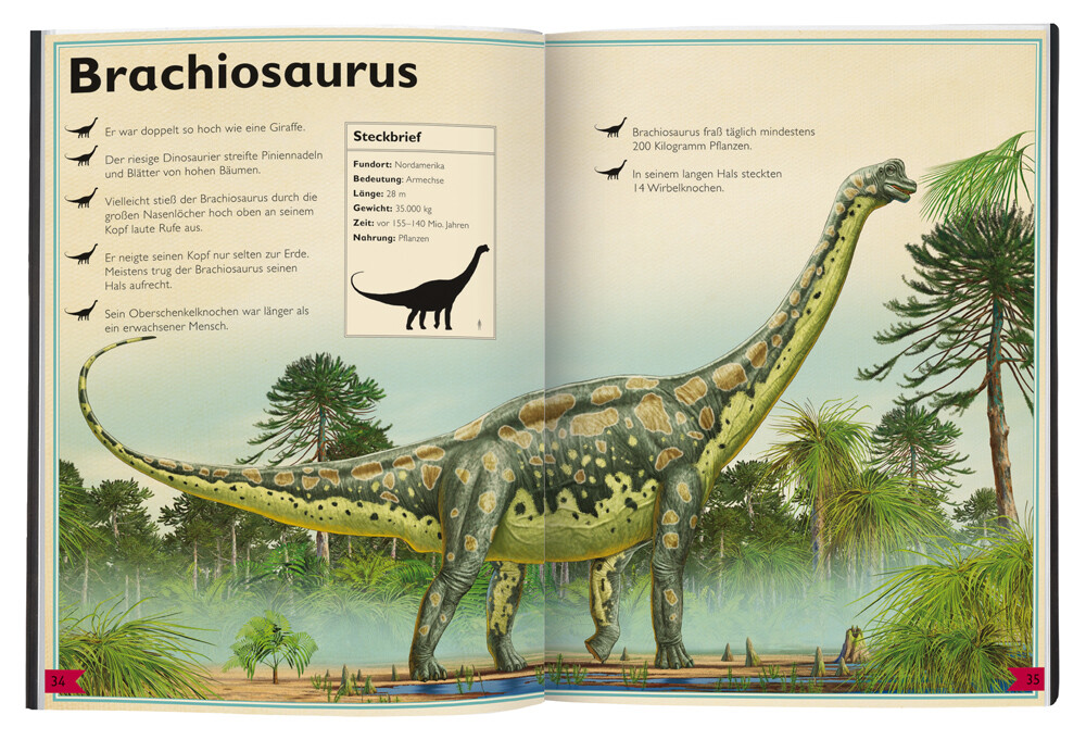 Thumbnail - Das Riesenbuch Der Dinosaurier. Tom Jackson