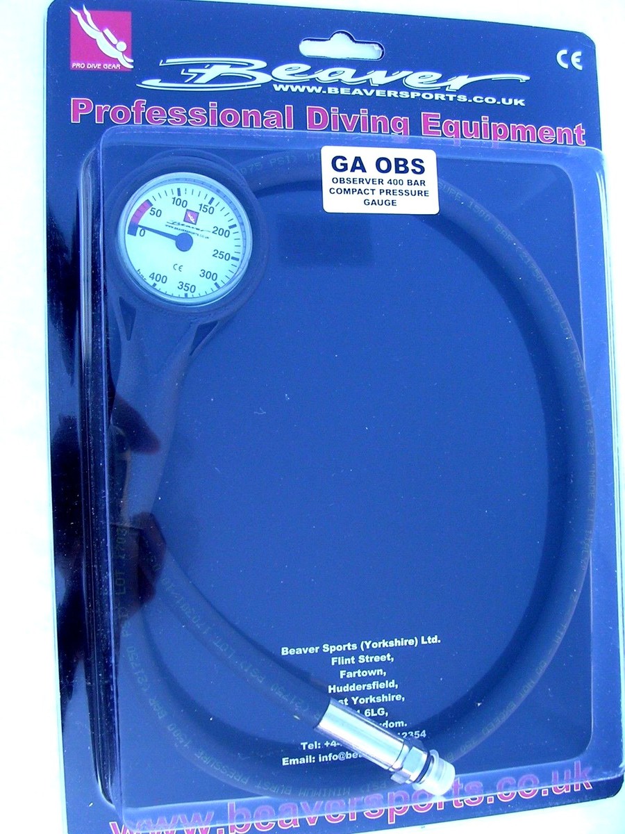 Bungee Jumping: Informazioni Generali Con I Migliori Posti Per