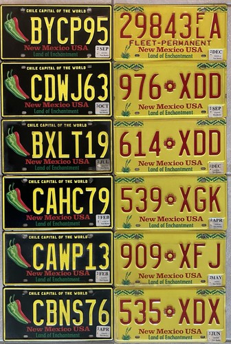 2017-2021 LICENSE PLATES NEW MEXICO Lot 12 Plates EXPIRED
