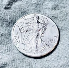 2012 1 Troy oz 0.999 Pure Silver American Eagle Dollar