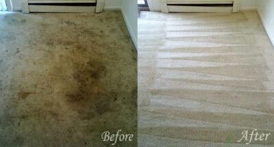 Grow Your Carpet Cleaning Services With These Revealing E Books And Reports