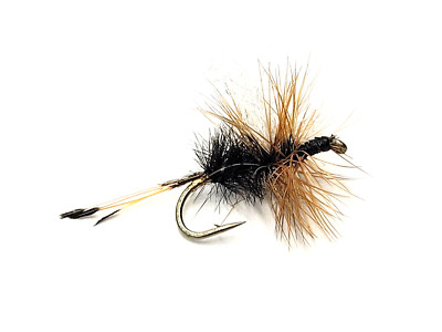 COLORADO CAPTAIN - #14 - BLACK - 4 Flies - FLY FISHING FLIES - TROUT ...