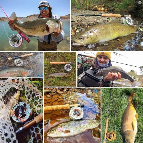Mulinello da pesca a mosca ECO Large Arbor nuovo con combinazione di lenze - 3/4wt - Foto 8 di 9