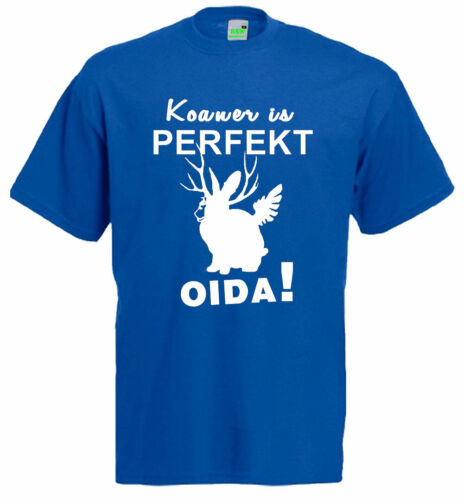 Koaner is Perfekt, Oida T-Shirt | 1230-0- | Servus Dialekt Mundart Spruch - Bild 1 von 5