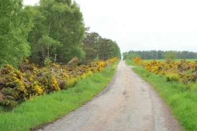 Photo 6x4 Minor road near Braevail Littlemill/NH9150  c2010