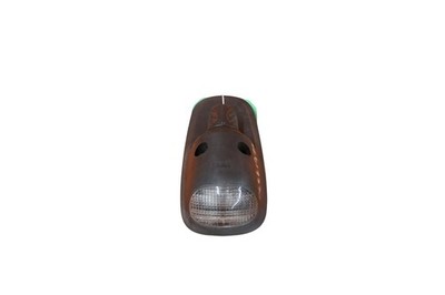 Passt für Renault Markierungsleuchte oben Euro 3 4 5 6 Teilenr. 5001834561 5010231435 EFP