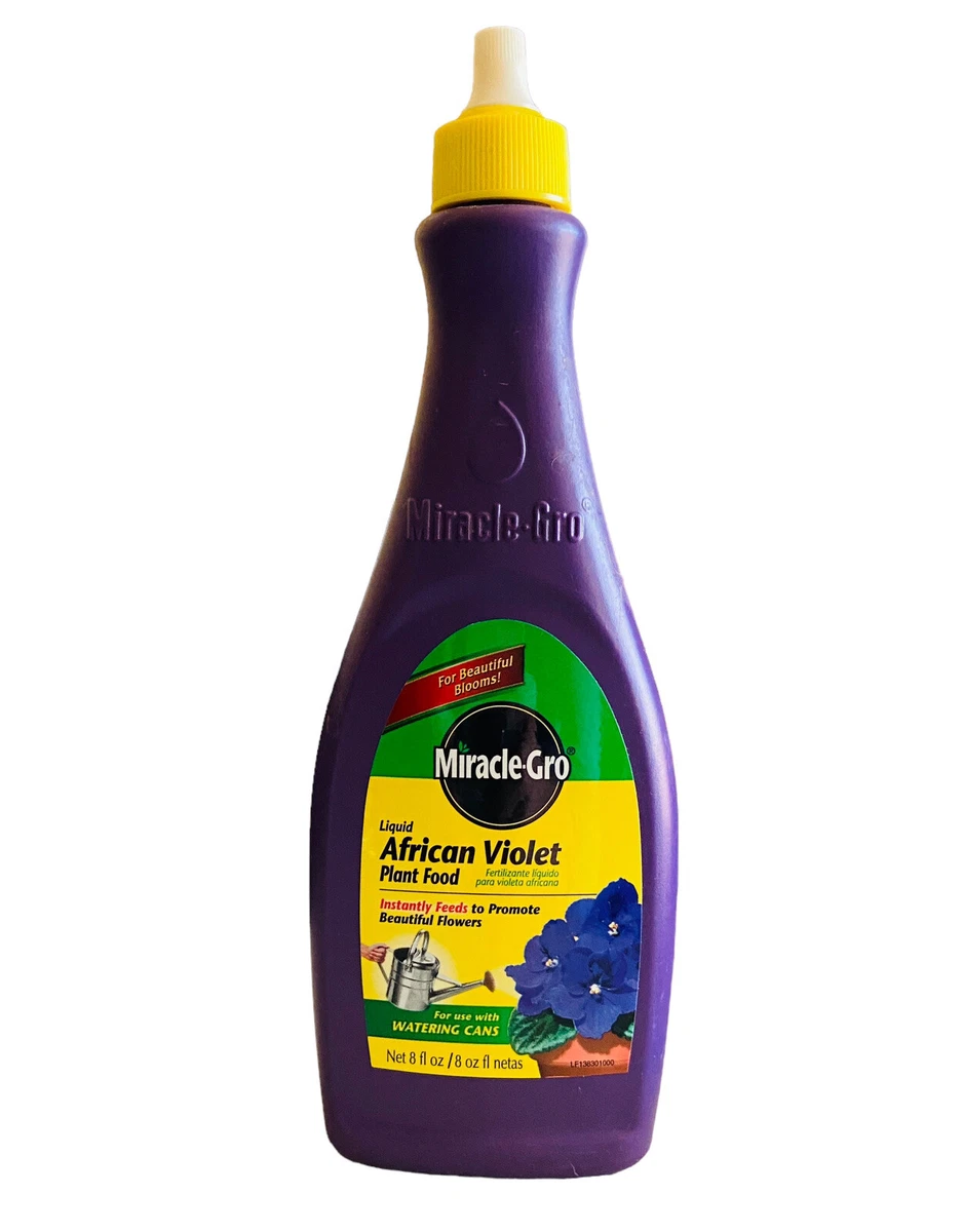 Miracle gro cheap african violet