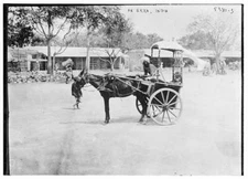 Photo:An ekka, India