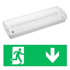 LED Emergency Ceiling Light Exit Bulkhead Spotlight Maintained/Non-Maintained