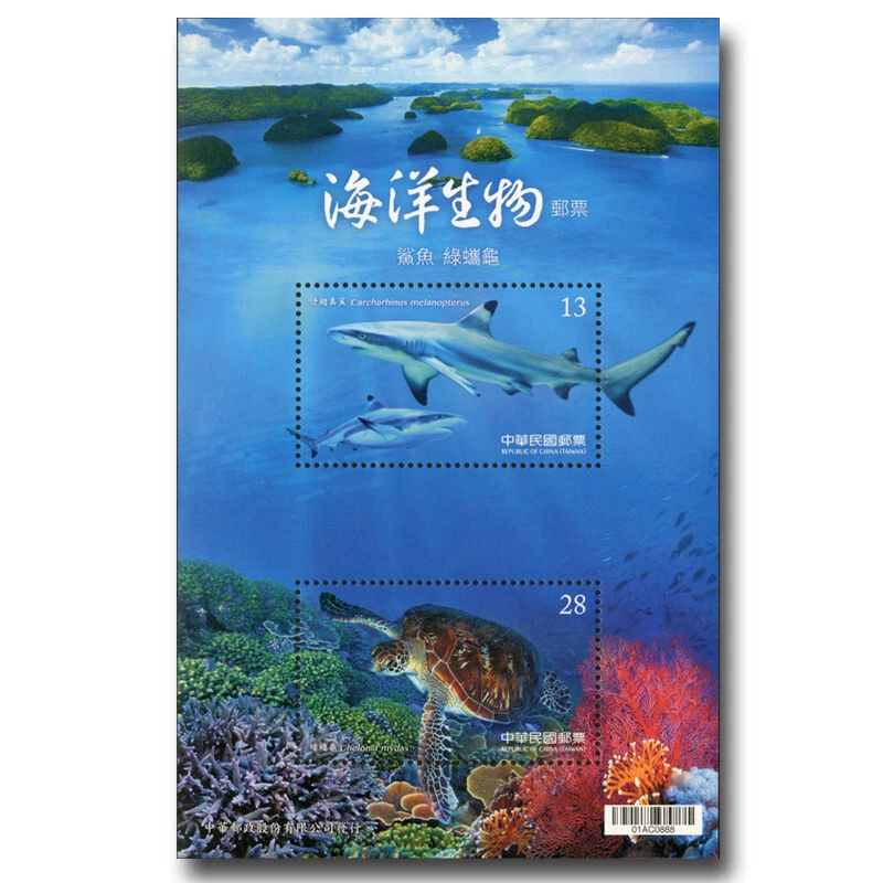 Taiwan - Marine Life-Shark and Green Sea Turtle - Image 1 of 1