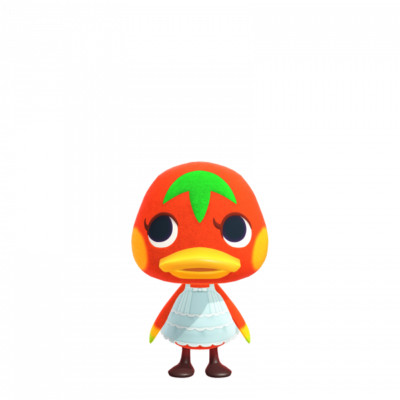 #RV14 Mini Welcome Amiibo Karte für Animal Crossing Ketchup / Pullunda