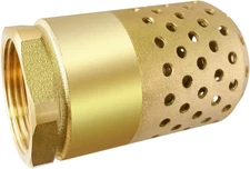 Brass Foot Valve 3/4 Inch NPT Heavy Duty Spring Mesh Check Valve Female Connecti