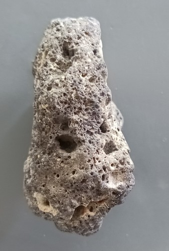 24.49 grams BLUE CORAL (bc14) - Picture 3 of 6