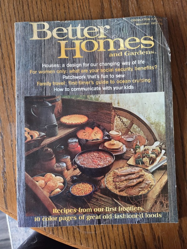 Better Homes and Gardens Magazine Nov 1973 Houses Family Travel Recipes 