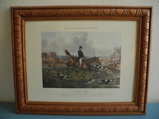ancienne gravure anglaise One of the flowers of our hunt J.Harris déco vintage