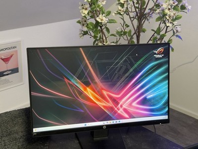 HP 24 ZOLL FULL HD MONITOR BILDSCHIRM 24w