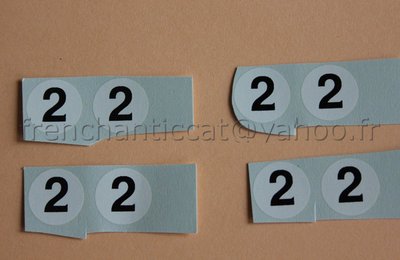 FH Miniature Vehicle 1/43 Decal Number 2 Black Round White Heco 