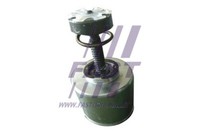 FT32290 Fast Kolben, Bremssattel FüR ,Iveco