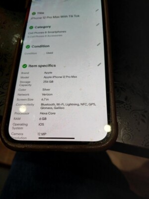 iPhone 12 Pro Max With Tik Tok 