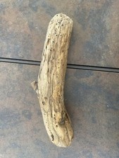 Natural Driftwood for Plants Terrarium Taxidermy Art Projects