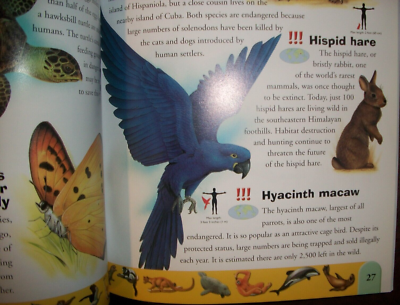 Endangered Animals Dictionary : An a to Z of Threatened Species by