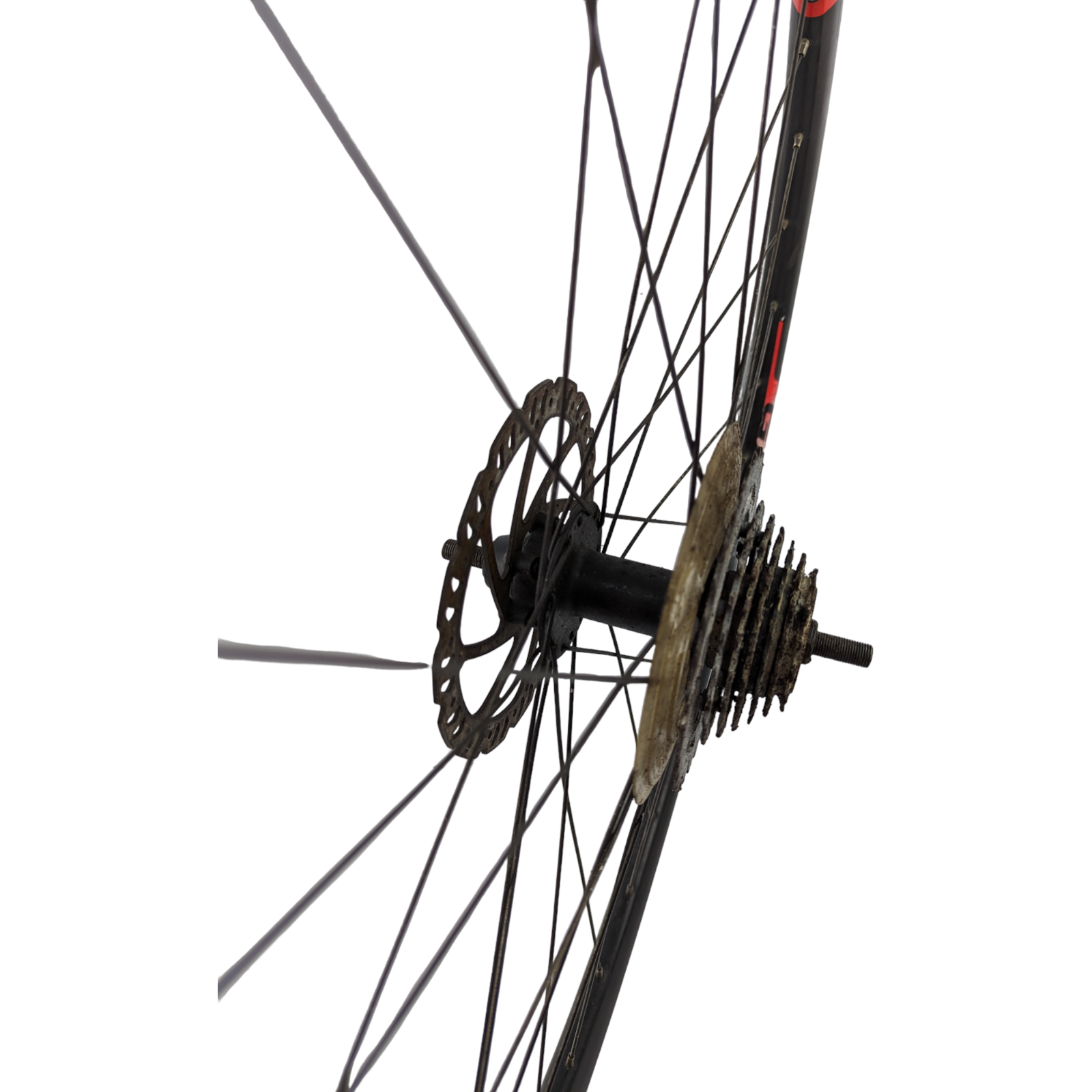 Giant GX28 Rear Mountain Bike Wheel 26" Alloy Rim Racing eBay