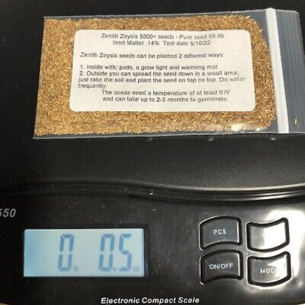 Zenith Zoysia Grass 5000 seeds starter kit eBay