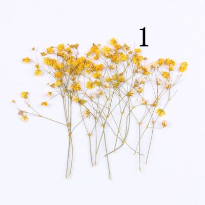 50PCS real Pressed Baby's Breath Flower with stem, 8 colors dyed