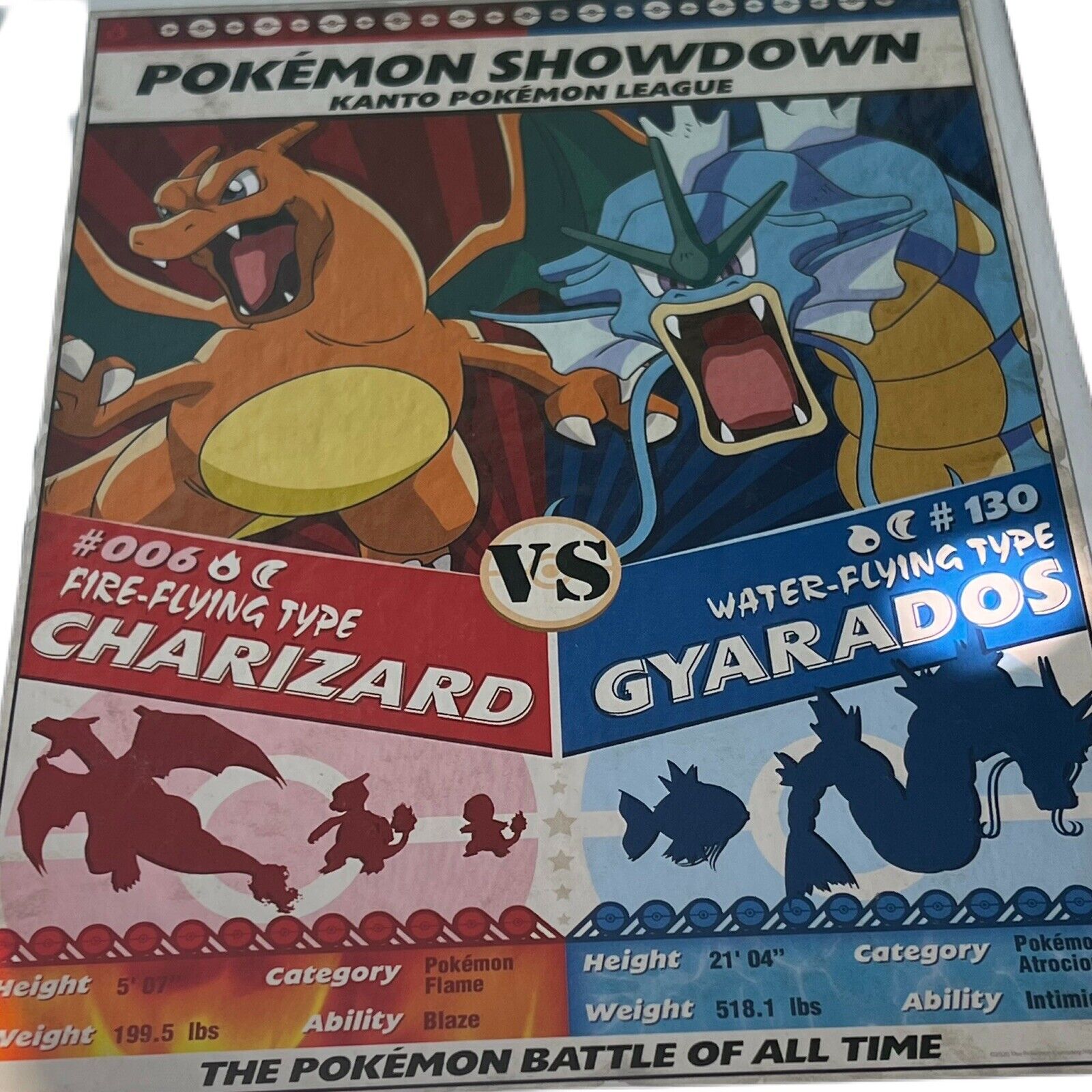 Pokemon Showdown, Charizard Vs Gyarados - Buffalo Games - 1000 Pieces :  r/Jigsawpuzzles