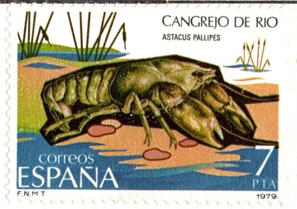 ESPAÑA 1979 FAUNA, VIDA MARINA CINCO SELLOS PRE ESTAMPADOS CUBIERTA SCOTT 2158-2162 COMO NUEVO Foto 3 de 4