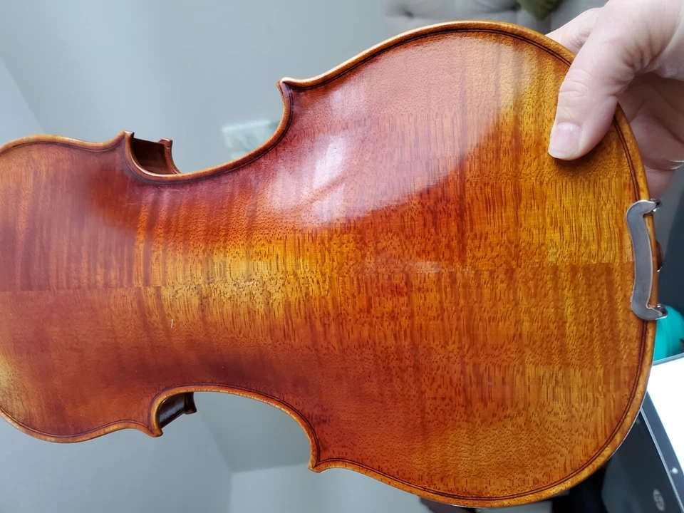 Комплект для скрипки 4/4 Tanglewood - Изображение 4 из 4