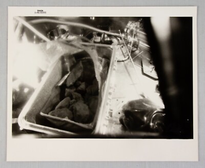 1969 MOND Mondfelsen aus Apollo 11 Mission ORIGINAL NASA Foto schwarz nummeriert