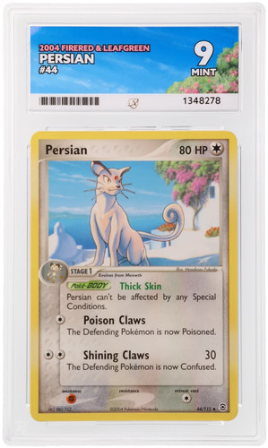 Persian graded ACE 9 for sale on eBay