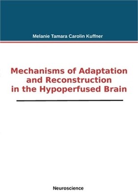 Mechanisms of Adaptation and Reconstruction in the Hypoperfused Brain (Paperback