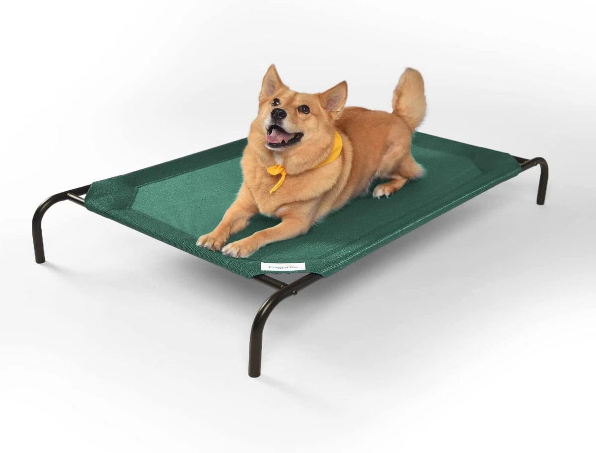 Cama portatil perro sales