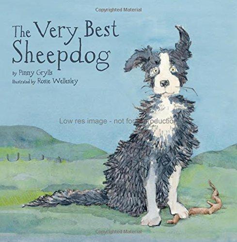 The Very Best Sheepdog - 第 1/1 張圖片